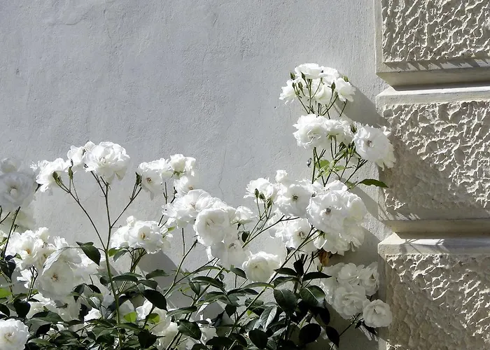 Villa Barberina Valdobbiadene